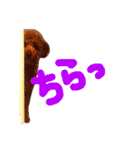 メロに夢中vol.1（個別スタンプ：24）