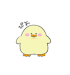 もちもちぴよすけ（個別スタンプ：1）
