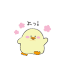 もちもちぴよすけ（個別スタンプ：5）