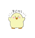 もちもちぴよすけ（個別スタンプ：18）