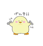 もちもちぴよすけ（個別スタンプ：23）