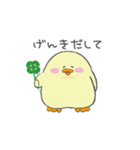 もちもちぴよすけ（個別スタンプ：31）