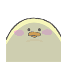 もちもちぴよすけ（個別スタンプ：33）