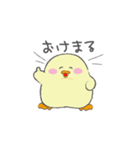 もちもちぴよすけ（個別スタンプ：35）