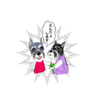 マイシュナウザー (family )（個別スタンプ：10）