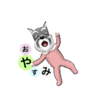マイシュナウザー (family )（個別スタンプ：13）