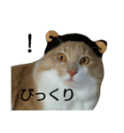 やさぐれノルジャン（個別スタンプ：14）