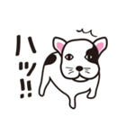 わんわんお君（個別スタンプ：2）