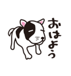 わんわんお君（個別スタンプ：16）