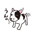 わんわんお君（個別スタンプ：22）