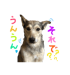 日々まいろたん♪（個別スタンプ：3）