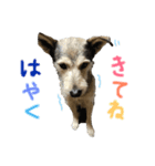 日々まいろたん♪（個別スタンプ：8）