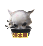 海太〜“かいた”じゃなくて“うた”だよ〜（個別スタンプ：1）