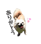 海太〜“かいた”じゃなくて“うた”だよ〜（個別スタンプ：5）