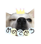 海太〜“かいた”じゃなくて“うた”だよ〜（個別スタンプ：13）