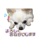 海太〜“かいた”じゃなくて“うた”だよ〜（個別スタンプ：16）