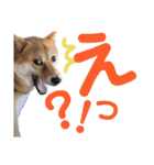 わがまま なっちのスタンプ3（個別スタンプ：2）
