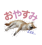 わがまま なっちのスタンプ3（個別スタンプ：7）