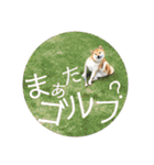 わがまま なっちのスタンプ3（個別スタンプ：15）