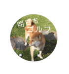 わがまま なっちのスタンプ3（個別スタンプ：16）