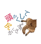 わがまま なっちのスタンプ3（個別スタンプ：29）