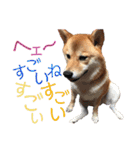 わがまま なっちのスタンプ3（個別スタンプ：38）