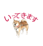 わがまま なっちのスタンプ3（個別スタンプ：39）