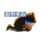 動物、ときどき違うもの（個別スタンプ：2）
