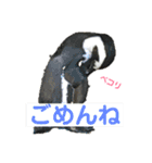 動物、ときどき違うもの（個別スタンプ：4）