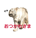 動物、ときどき違うもの（個別スタンプ：8）