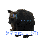 動物、ときどき違うもの（個別スタンプ：16）