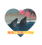 動物、ときどき違うもの（個別スタンプ：18）