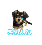 チワックスのまろころ（個別スタンプ：10）