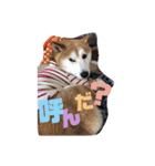 愉快な仲間たち！！！（個別スタンプ：11）