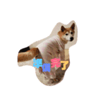 愉快な仲間たち！！！（個別スタンプ：14）