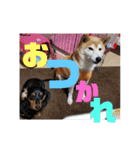 愉快な仲間たち！！！（個別スタンプ：16）