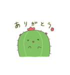 うちのさぼてんさん（個別スタンプ：4）