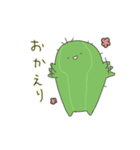 うちのさぼてんさん（個別スタンプ：25）