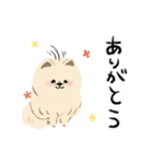 犬と猫の日常_kuyayo（個別スタンプ：3）