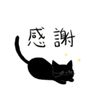 犬と猫の日常_kuyayo（個別スタンプ：5）