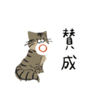犬と猫の日常_kuyayo（個別スタンプ：11）