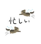 犬と猫の日常_kuyayo（個別スタンプ：14）