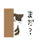 犬と猫の日常_kuyayo（個別スタンプ：19）