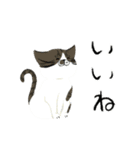 犬と猫の日常_kuyayo（個別スタンプ：22）