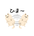 犬と猫の日常_kuyayo（個別スタンプ：23）
