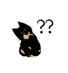 犬と猫の日常_kuyayo（個別スタンプ：28）
