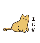 茶トラ猫の使いやすい可愛いスタンプ（個別スタンプ：10）