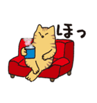 茶トラ猫の使いやすい可愛いスタンプ（個別スタンプ：12）