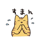 茶トラ猫の使いやすい可愛いスタンプ（個別スタンプ：13）