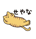 茶トラ猫の使いやすい可愛いスタンプ（個別スタンプ：14）